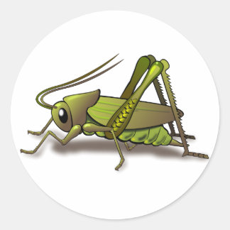 Green Cricket Insect Ronde Sticker