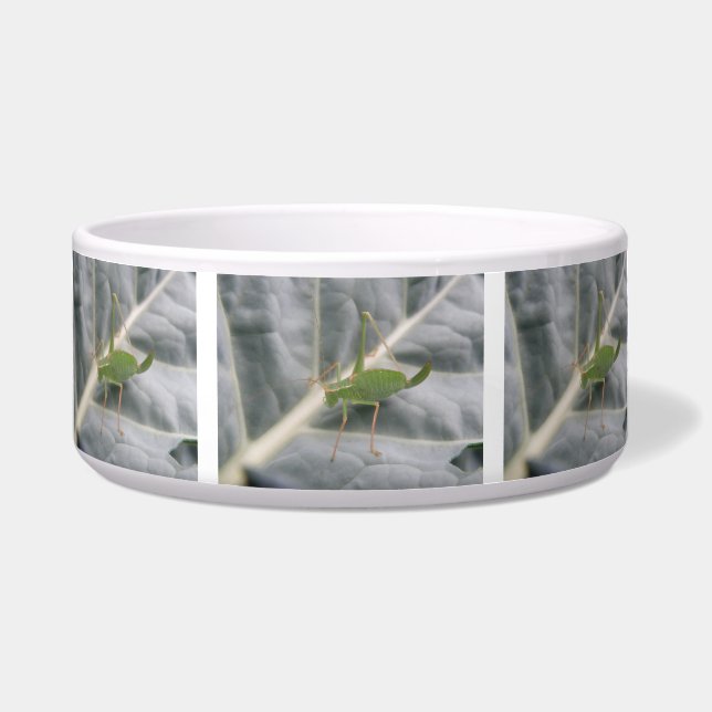 Green Cricket Macro Dog Bowl Voerbakje (Voorkant)