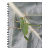 Green Cricket Macro Notitieboek (Voorkant)