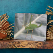 Green Cricket Macro Plaque Fotoplaat (Zijkant)