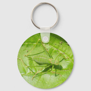 Green Cricket Macro Sleutelhanger