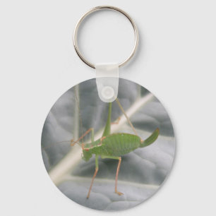 Green Cricket Macro Sleutelhanger