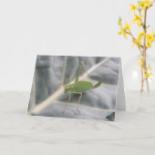 Green Cricket Macro Wenskaart Kaart (Gele Bloem)
