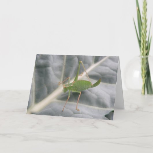 Green Cricket Macro Wenskaart Kaart (Voorkant)
