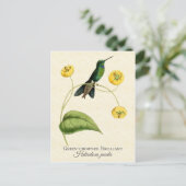 Green Crowned Brilliant Hummingbird  Art Briefkaart (Staand voorkant)