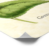 Green Crowned Brilliant Hummingbird Art Print (Hoek)