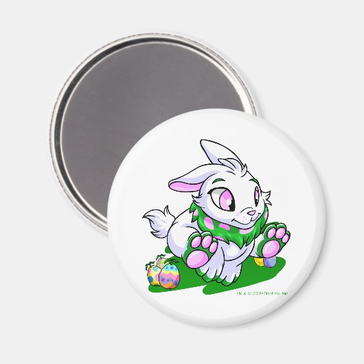 Green Cybunny racing door neggs Magneet (Voorkant / Achterkant)