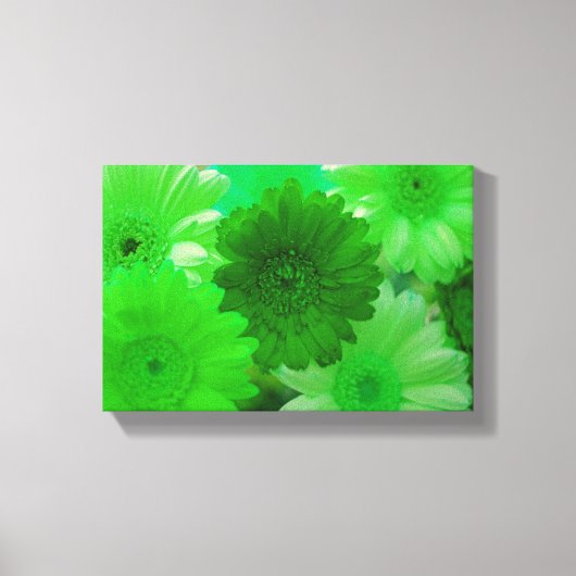 Green Daisy Flower Photo Canvas Wall Art Print (Voorkant)