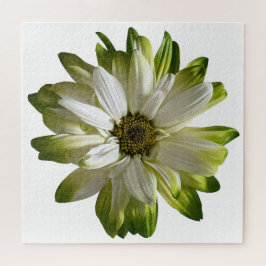 Green Daisy Jigsaw Puzzle Legpuzzel