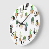 Green Dessert Succulent Cactus in Pots Grote Klok (Hoek)