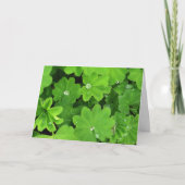 Green Dewdrops Kaart (Voorkant)