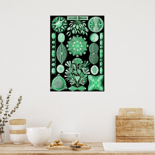 Green Diatomeae, Diatom Poster (Keuken)