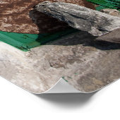 Green Door 2 Poster (Hoek)