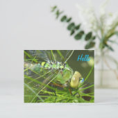 Green Dragonfly HALLO Briefkaart (Staand voorkant)