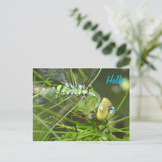 Green Dragonfly HALLO Briefkaart (Staand voorkant)