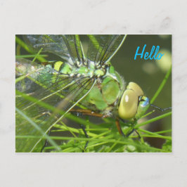 Green Dragonfly HALLO Briefkaart
