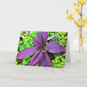 Green Earth, kaart (Gele Bloem)