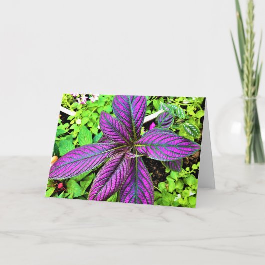 Green Earth, kaart (Voorkant)