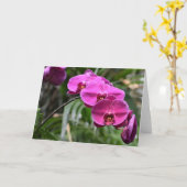 Green Earth, kaart (Gele Bloem)