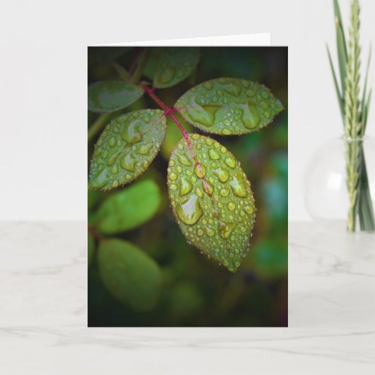 Green Earth, kaart (Voorkant)