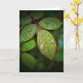 Green Earth, kaart (Gele Bloem)