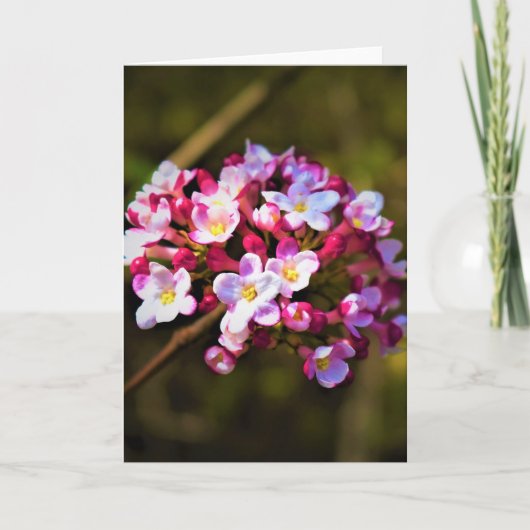 Green Earth, kaart (Voorkant)