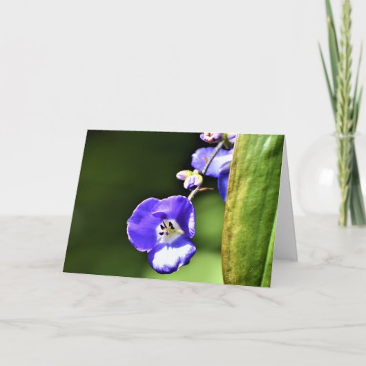 Green Earth, kaart (Voorkant)