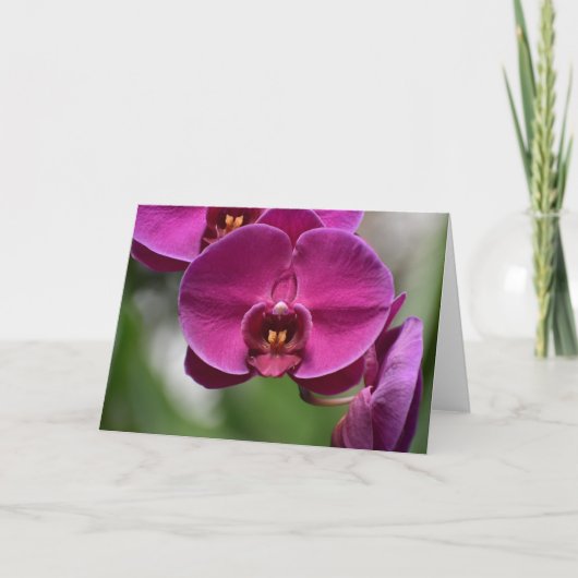 Green Earth, kaart (Voorkant)