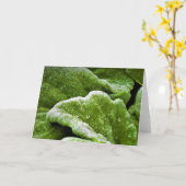 Green Earth, kaart (Gele Bloem)