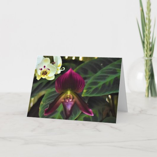 Green Earth, kaart (Voorkant)