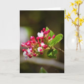 Green Earth, kaart (Gele Bloem)