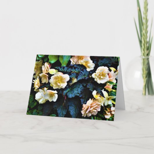 Green Earth, kaart (Voorkant)