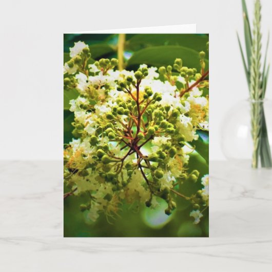 Green Earth, kaart (Voorkant)