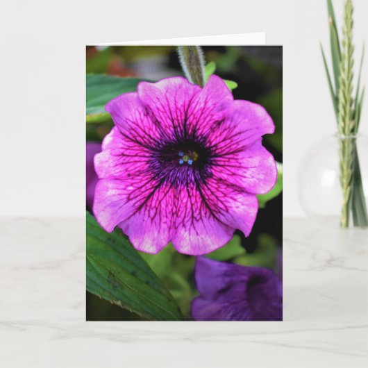 Green Earth, kaart (Voorkant)