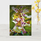 Green Earth, kaart (Gele Bloem)