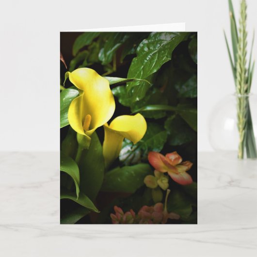 Green Earth, kaart (Voorkant)