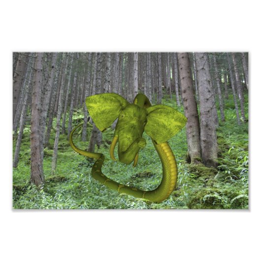 Green Elephant Snake Foto Afdruk (Voorkant)