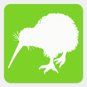 Green en White Kiwi Vierkante Sticker