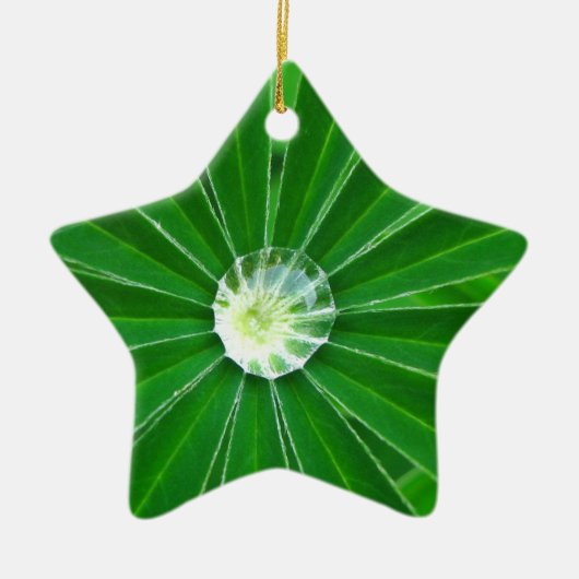 Green Energy Ornament (Voorkant)