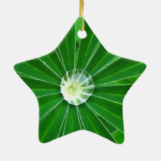Green Energy Ornament (Achterkant)