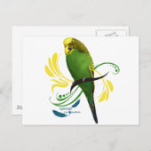 Green English Budgie Briefkaart (Voorkant / Achterkant)