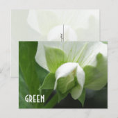 GREEN erwten Pea Blossom aangepast sjabloon briefk Briefkaart (Voorkant / Achterkant)