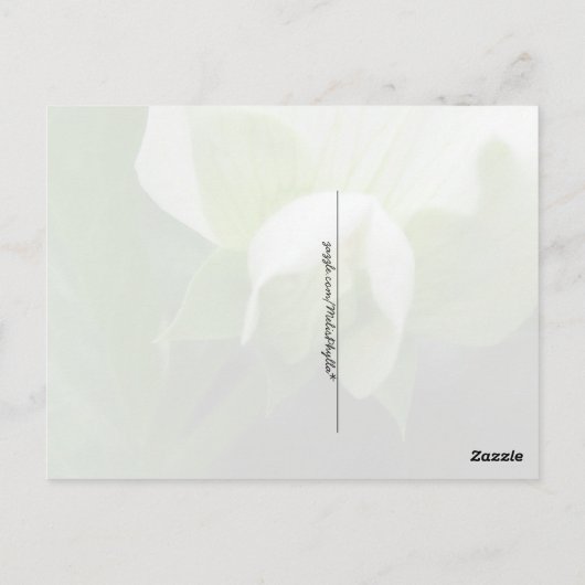 GREEN erwten Pea Blossom aangepast sjabloon briefk Briefkaart (Achterkant)