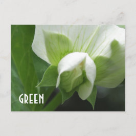 GREEN erwten Pea Blossom aangepast sjabloon briefk Briefkaart
