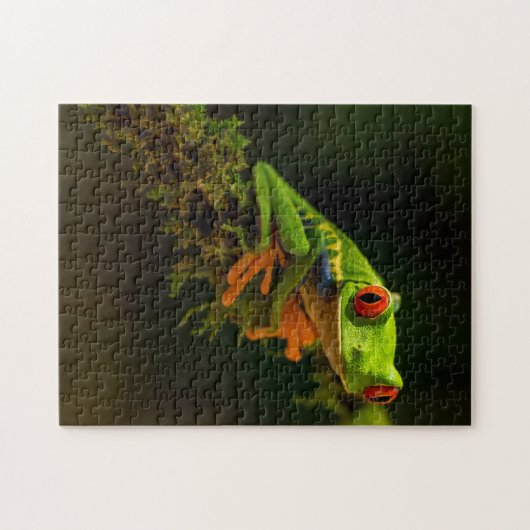 Green Exotic Summer Frog Reptile met rode ogen Legpuzzel (Horizontaal)