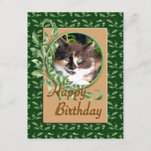 Green Eyed Calico Kitten Verjaardag Briefkaart