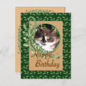 Green Eyed Calico Kitten Verjaardag Briefkaart (Voorkant / Achterkant)