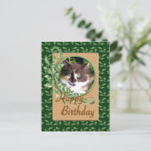 Green Eyed Calico Kitten Verjaardag Briefkaart (Staand voorkant)