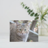 Green Eyed Cat Briefkaart (Staand voorkant)