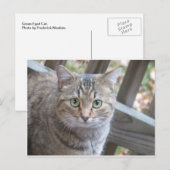 Green Eyed Cat Briefkaart (Voorkant / Achterkant)